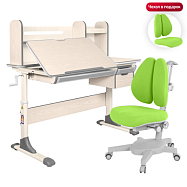 комплект anatomica genius парта + кресло + надстройка + выдвижной ящик + подставка для книг Anatomica Genius set